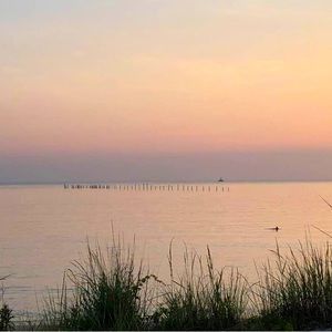 Meet your Posher, Treasure